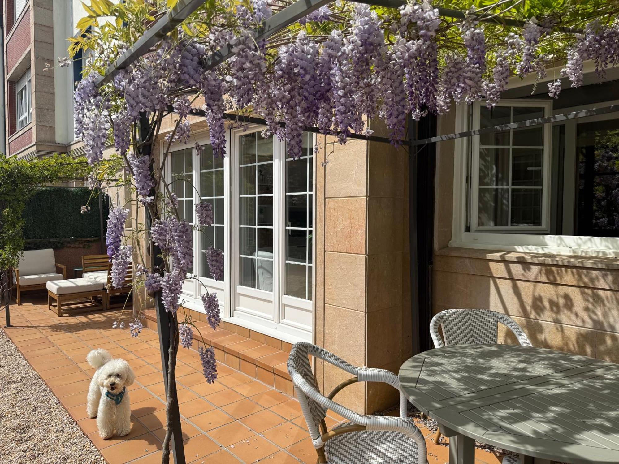 Bakea Apto Con Jardin Privado Baquio Exterior foto